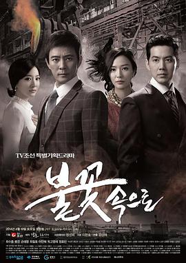 安阳网站优化公司地址